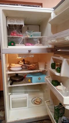 frige for sale