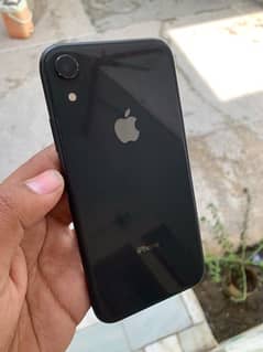 Iphone XR  (Waterpak)