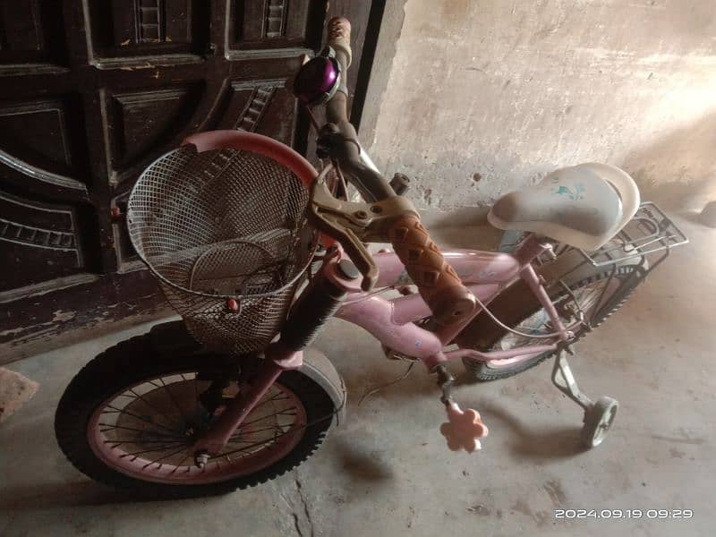 Baby bicycle (Lion King) 2