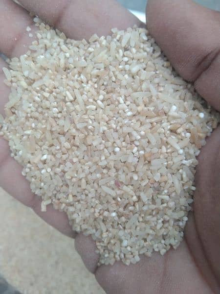 basamati Rice chawal kachi basmati 515 3