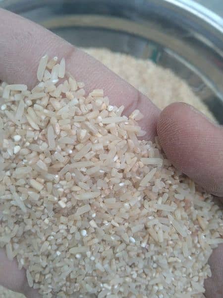 basamati Rice chawal kachi basmati 515 6