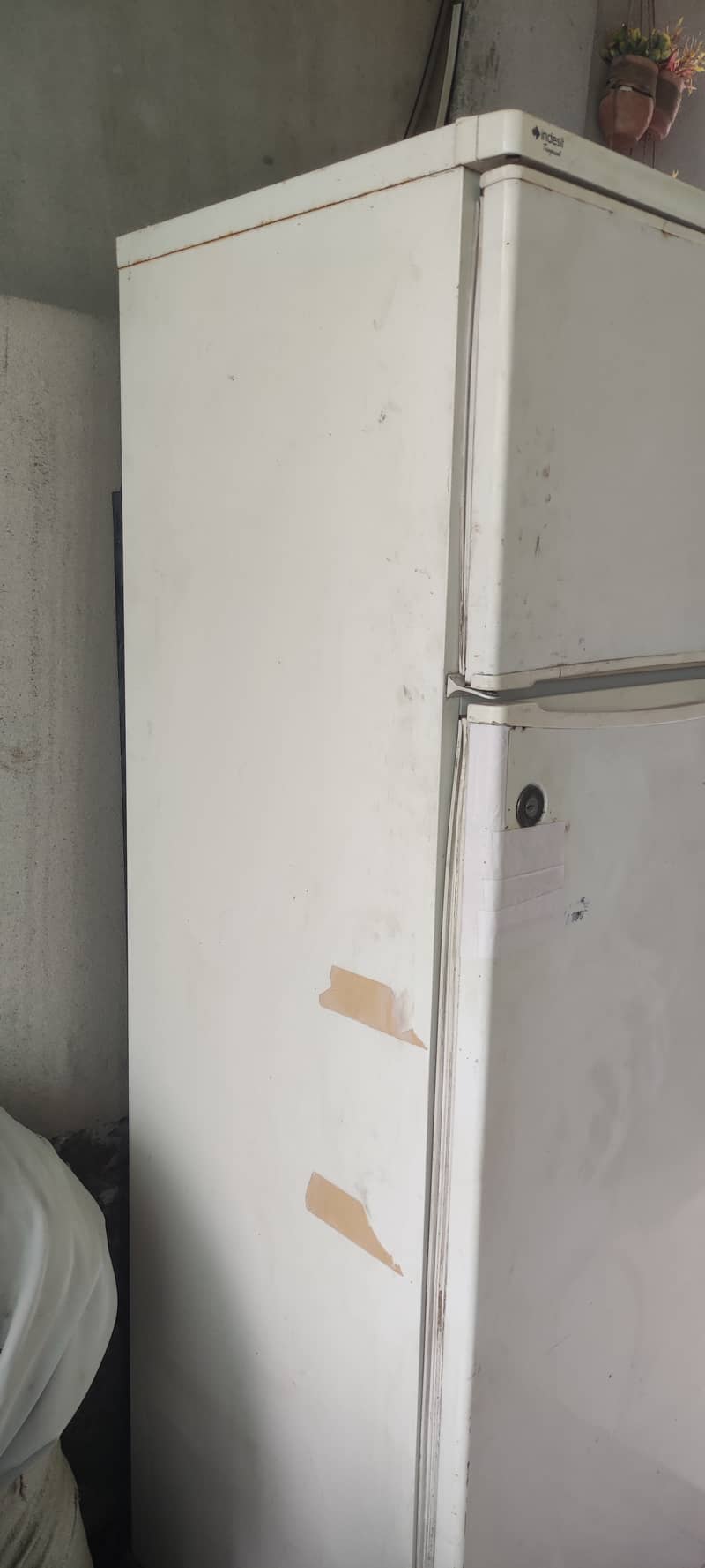 Indesit Refrigerator, Made in Italy, in Behtreen Working Condition 1