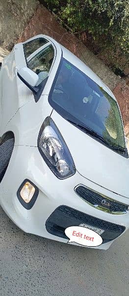 KIA Picanto 2021 2