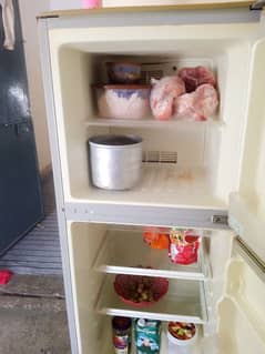 fridge medium size