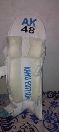 Pair of pads