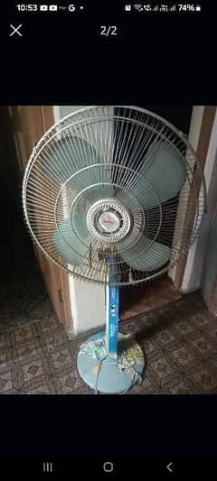 new fan in low price