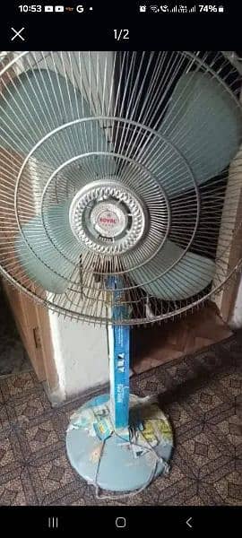 new fan in low price 1