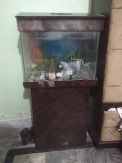 aquarium medium size 03151158585