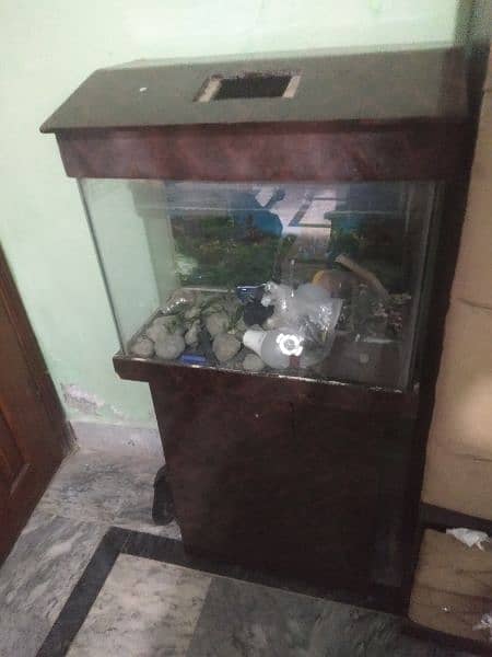 aquarium medium size 1