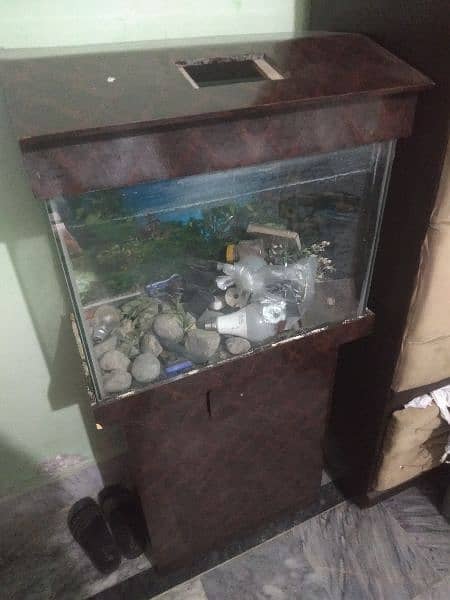 aquarium medium size 2