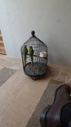 good coundiction cage