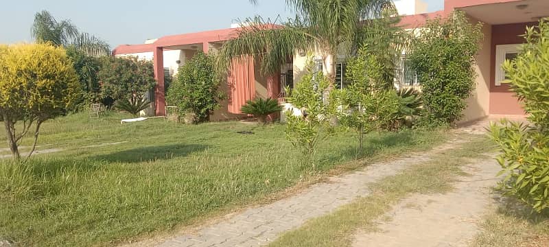 5 Marla House With Extra Land On The Front For Sale In Lilly-D, DHA Homes Islamabad 5