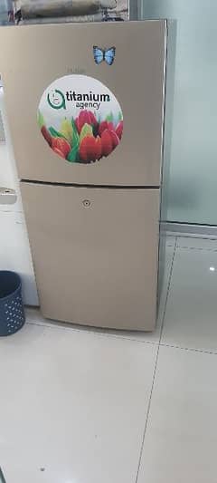 Haier Fridge -216EBD ( Golden) E-Star Series Refrigerator