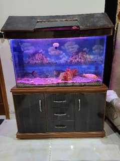 FISH AQUARIUM FOR SALE WITH CABINET, ASSESORIES & FISHES