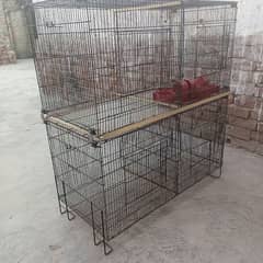 parrots cages