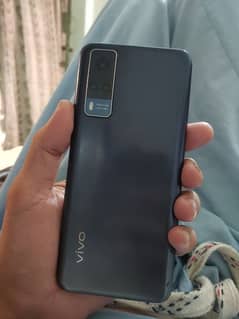 vivo