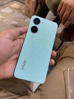 vivo