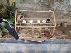 white doves with cage ,wooden cafe and beautiful birds