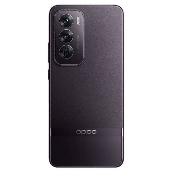 Oppo Reno 12/512 1