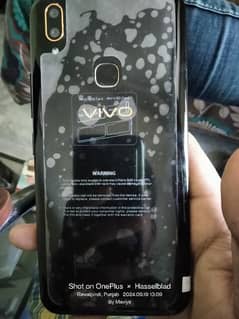 vivo