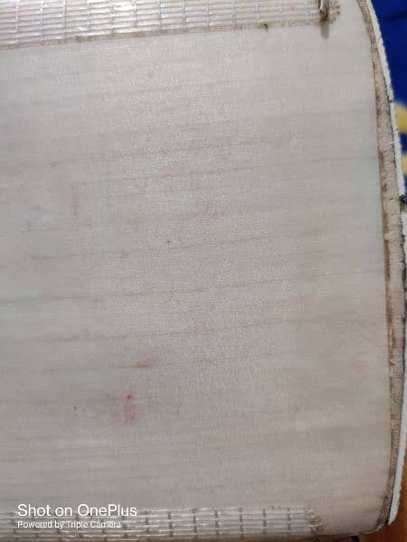 Kashmir Willow Cricket Bat 20+ Grains Perfect Condition 6