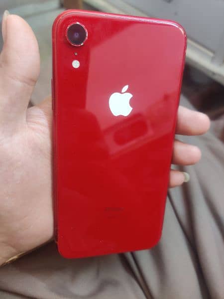 iphone XR 1
