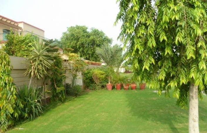 Staiana Road Batala Colony Faisalabad 3 Kanal House Fully Furnished For Rent 2