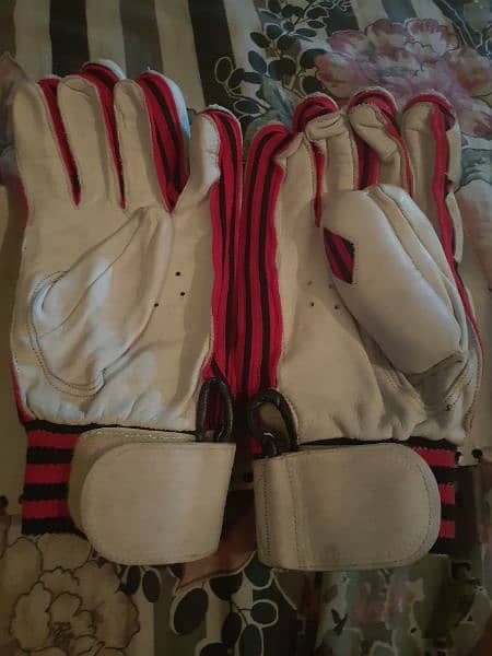 cricket gloves batting hardball good. . . 03234757343 5