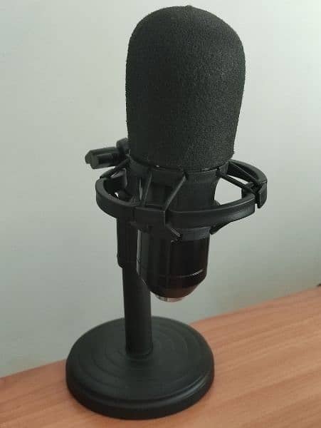 BM 800 Studio Microphone 0