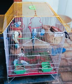 A Beautiful Birds Cage With 3 Australian Birds is Available For Sale