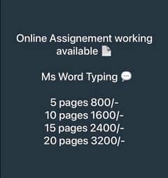 Hand Writing Assignment Work,Data Entry Or Ms Typing Work Available