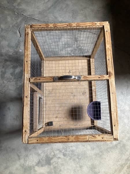 Bird cage 3