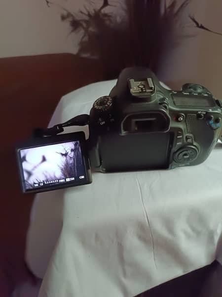 CANON 60D Condition 10/10 with 50MM Yogno Lense 2