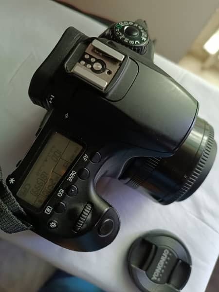 CANON 60D Condition 10/10 with 50MM Yogno Lense 3