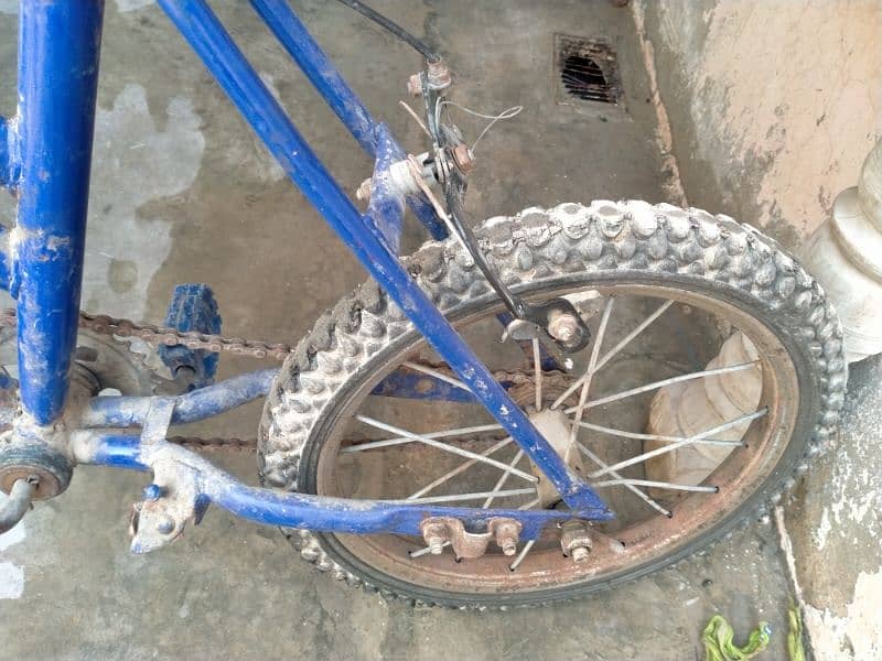 cycle for sell Only larkana 2