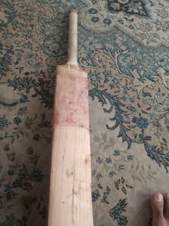 English Willow hard ball bat