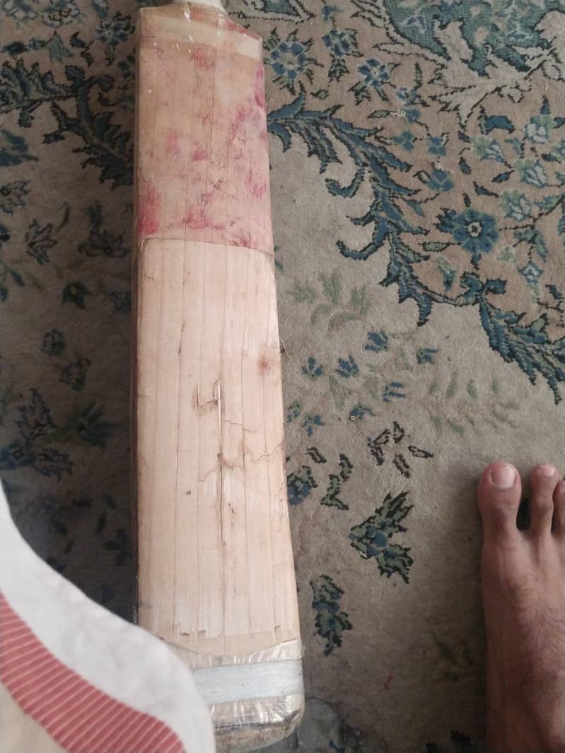 English Willow hard ball bat 1