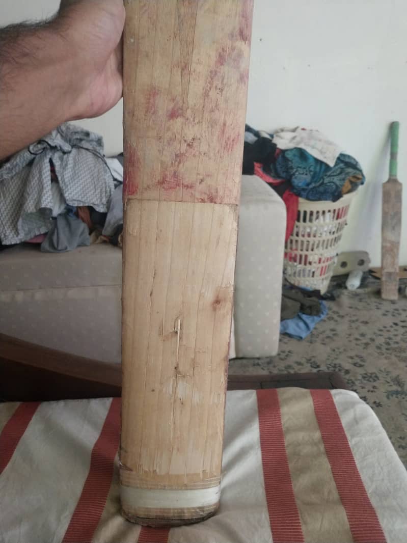 English Willow hard ball bat 2