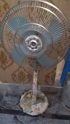 fan