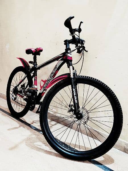 imported MTB Bike Aluminum Frame 11