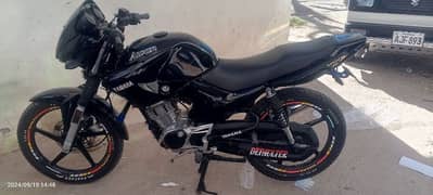 ybr125