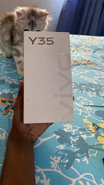 Vivo Y35  ( 8/128 ) with Box PTA approve 6