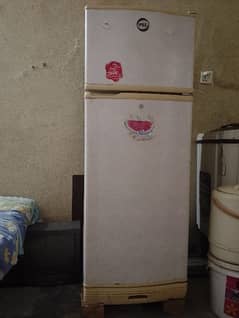 pel fridge contact nmbr 03125156471