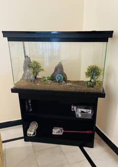 Almost new Fish Tank with all accessories