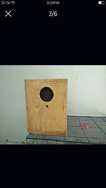 parrot cage and box 1