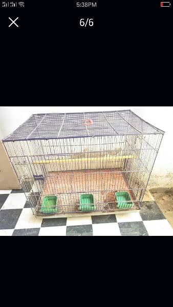 parrot cage and box 3