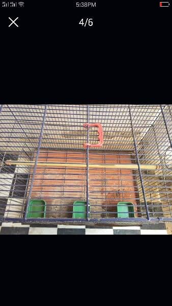 parrot cage and box 4