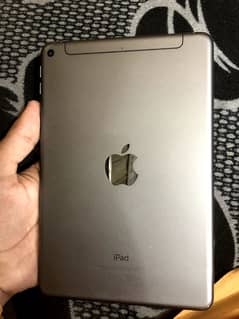 iPad mini 5 256GB (Sim Model)