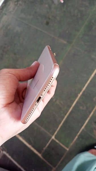 I phone 8plus pta approved 2