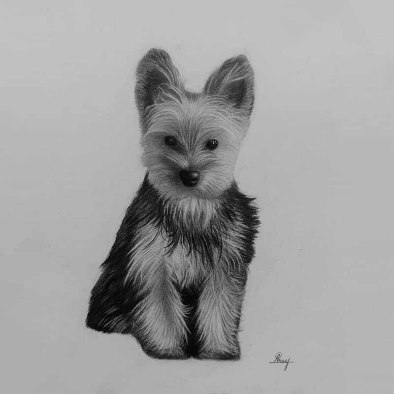 Will draw beautiful realistic pencil sketch for you 8